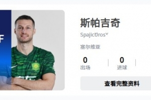 已完成補報？中足聯官網顯示，斯帕吉奇出現在國安陣中