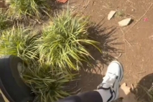 最新廈門飛鷺對陣溫州在線觀看_最新廈門飛鷺對陣溫州在線觀看在線觀看_免費看直播