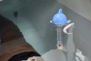 免費世界杯法國對陣塞內加爾jrs直播_免費世界杯法國對陣塞內加爾jrs直播在線觀看_免費看直播